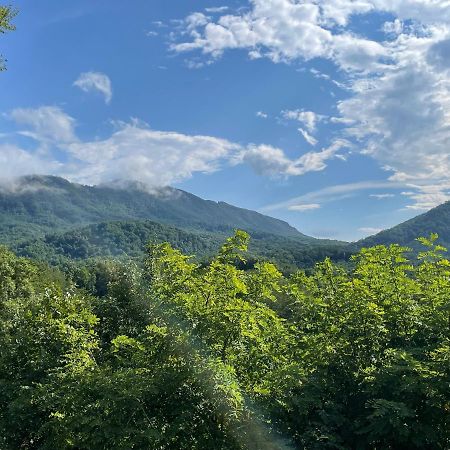 Bear Doodle Villa Sevierville Dış mekan fotoğraf